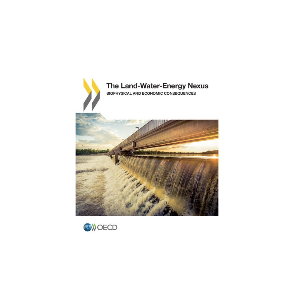 Produktbild för The Land-Water-Energy Nexus (häftad, eng)