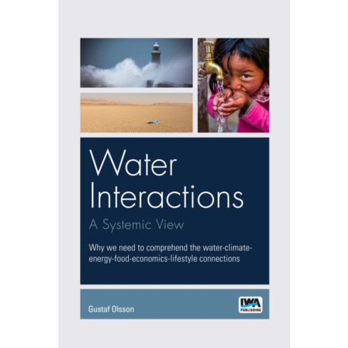 IWA Publishing Water interactions: A systemic view (häftad, eng)