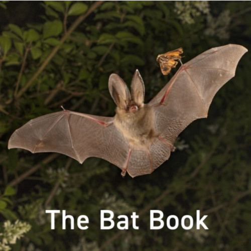 Graffeg Limited The Bat Book (inbunden, eng)
