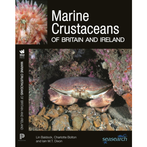 Princeton University Press Marine Crustaceans of Britain and Ireland (häftad, eng)