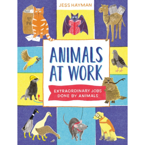 Hachette Children's Group Animals at Work (inbunden, eng)