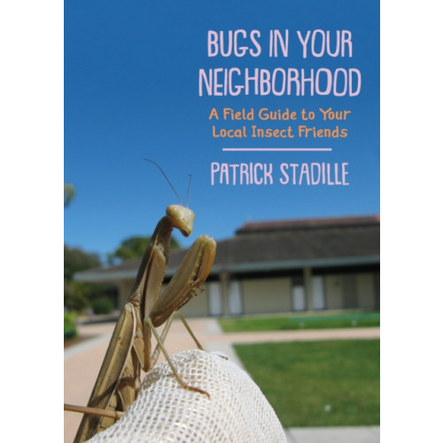 Heyday Books Bugs in Your Neighborhood (häftad, eng)