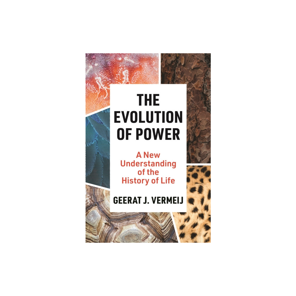 Produktbild för The Evolution of Power (häftad, eng)