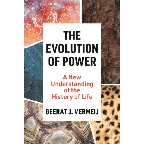 Princeton University Press The Evolution of Power (häftad, eng)