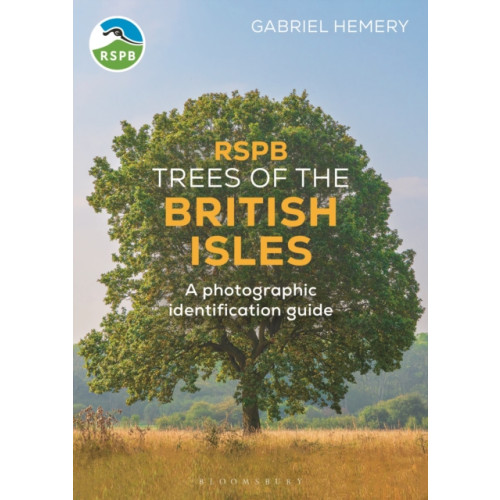 Bloomsbury Publishing PLC RSPB Trees of the British Isles (häftad, eng)