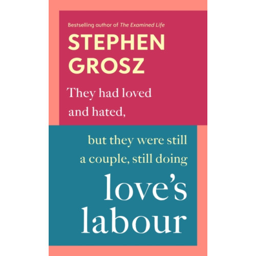 Vintage Publishing Love’s Labour (häftad, eng)