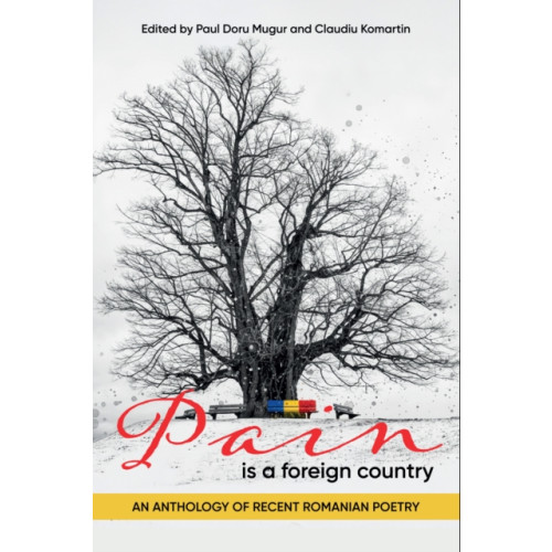 Histria LLC Pain Is a Foreign Country (häftad, eng)