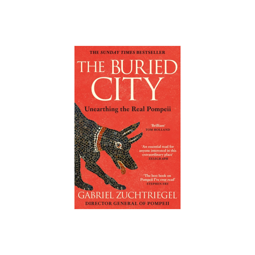 Produktbild för The Buried City (häftad, eng)