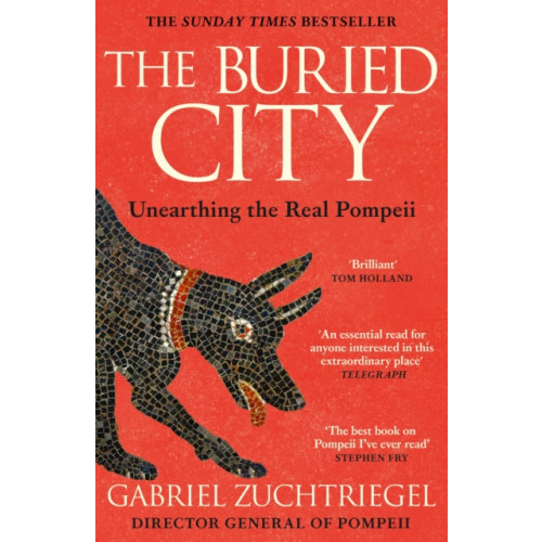 Hodder & Stoughton The Buried City (häftad, eng)