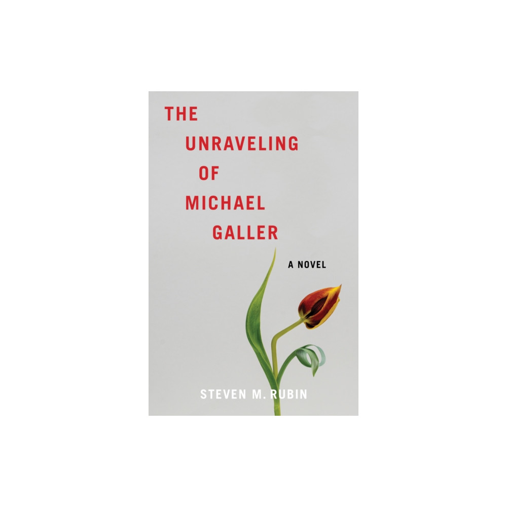 Produktbild för The Unraveling of Michael Galler (häftad, eng)