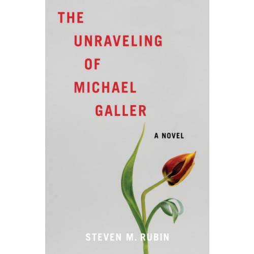 She Writes Press The Unraveling of Michael Galler (häftad, eng)