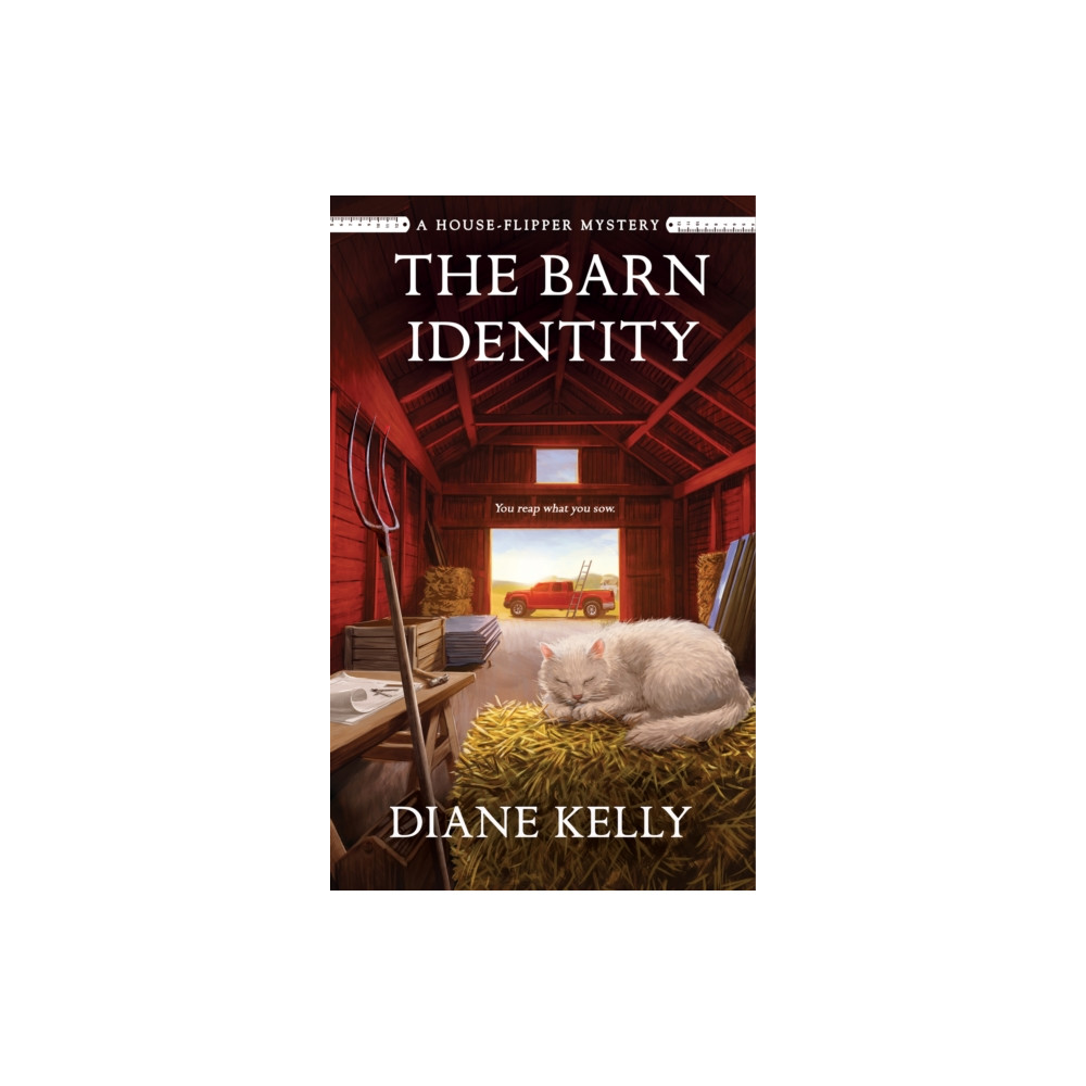 Produktbild för The Barn Identity (häftad, eng)