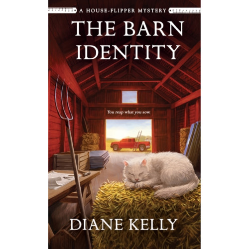 St Martin's Press The Barn Identity (häftad, eng)