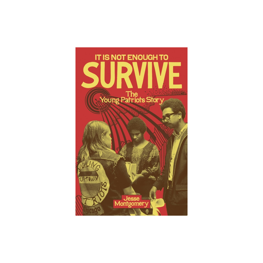 Produktbild för It Is not Enough to Survive (häftad, eng)