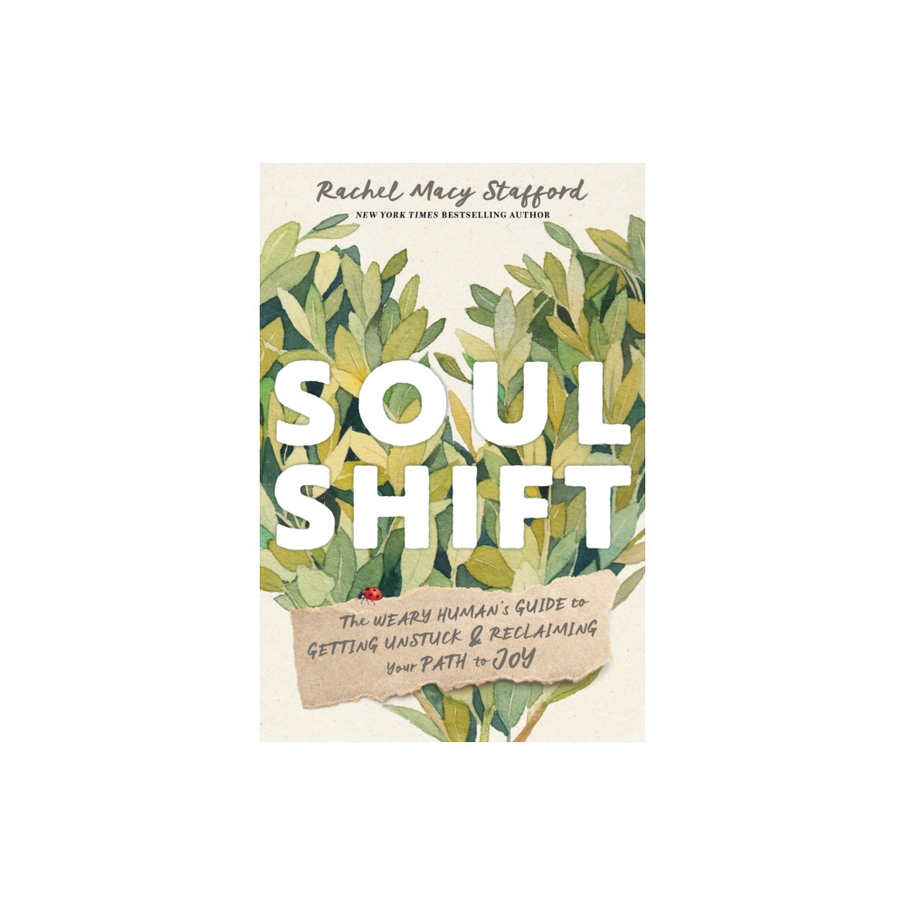 Produktbild för Soul Shift (häftad, eng)