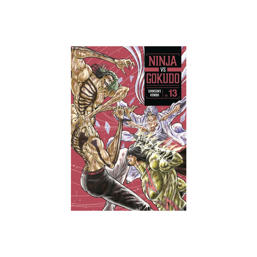 Produktbild för Ninja Vs. Gokudo 13 (häftad, eng)