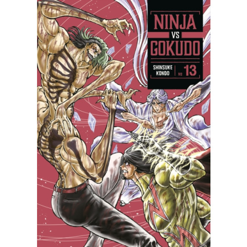 Kodansha America, Inc Ninja Vs. Gokudo 13 (häftad, eng)