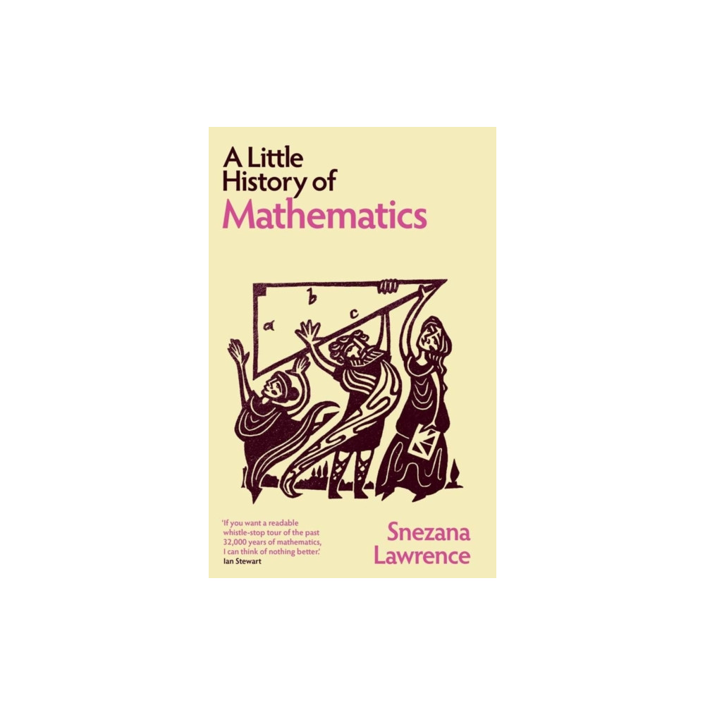 Produktbild för A Little History of Mathematics (häftad, eng)