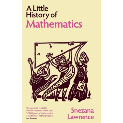 Yale university press A Little History of Mathematics (häftad, eng)