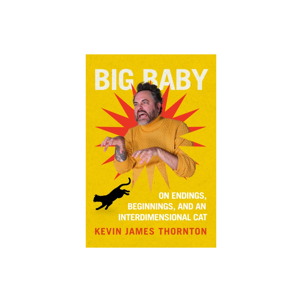 Produktbild för Big Baby (häftad, eng)