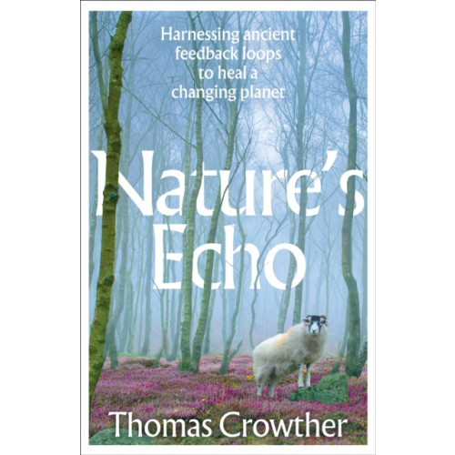 Transworld Nature's Echo (häftad, eng)