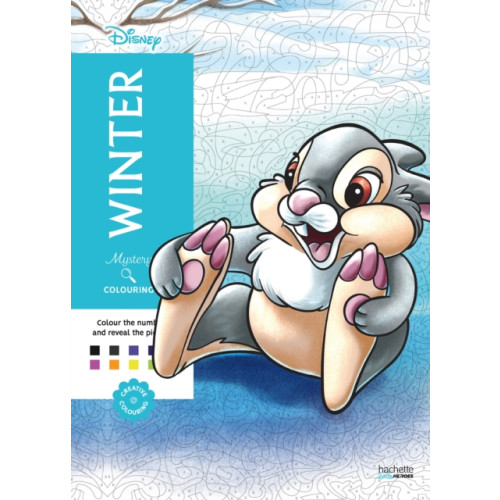 Hachette Mystery Colouring - Winter (häftad, eng)