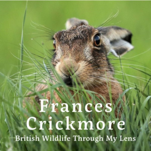 Graffeg Limited Frances Crickmore - British Wildlife Through My Lens (inbunden, eng)