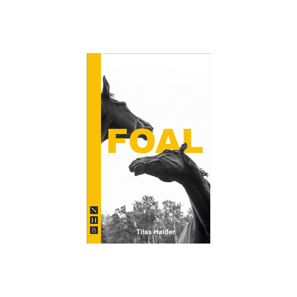Produktbild för Foal (häftad, eng)