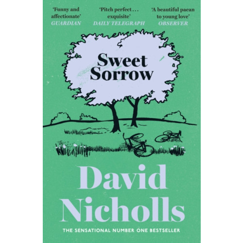 Hodder & Stoughton Sweet Sorrow (häftad, eng)