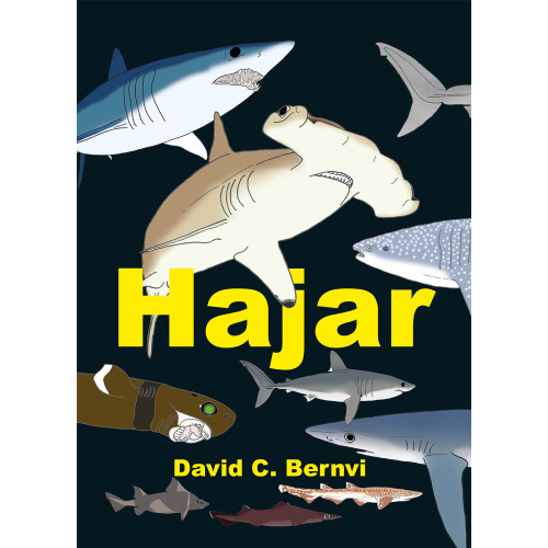 David C. Bernvi Hajar : en spännande faktabok (inbunden)