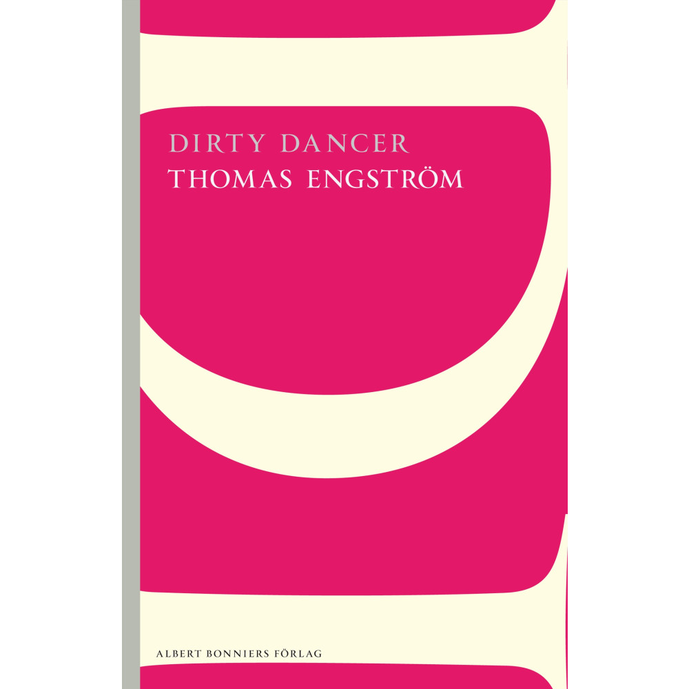 Produktbild för Dirty Dancer (häftad)