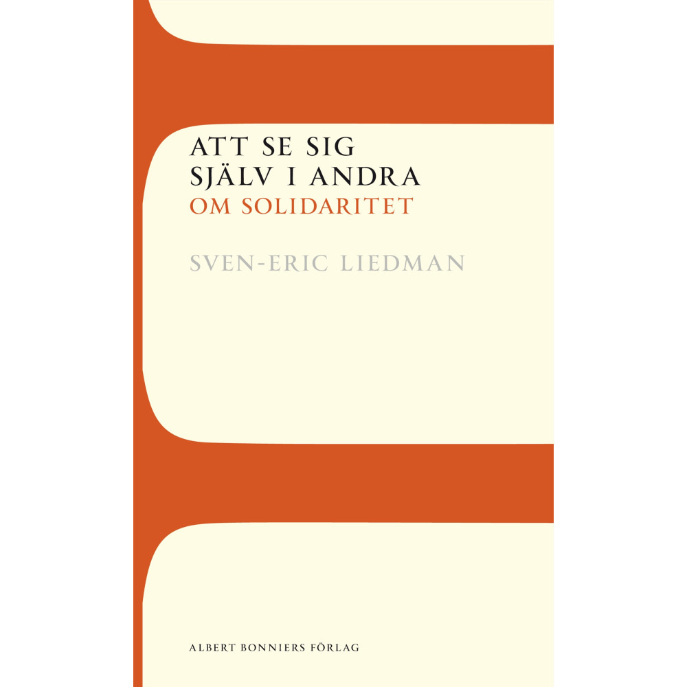 Produktbild för Att se sig själv i andra : om solidaritet (häftad)