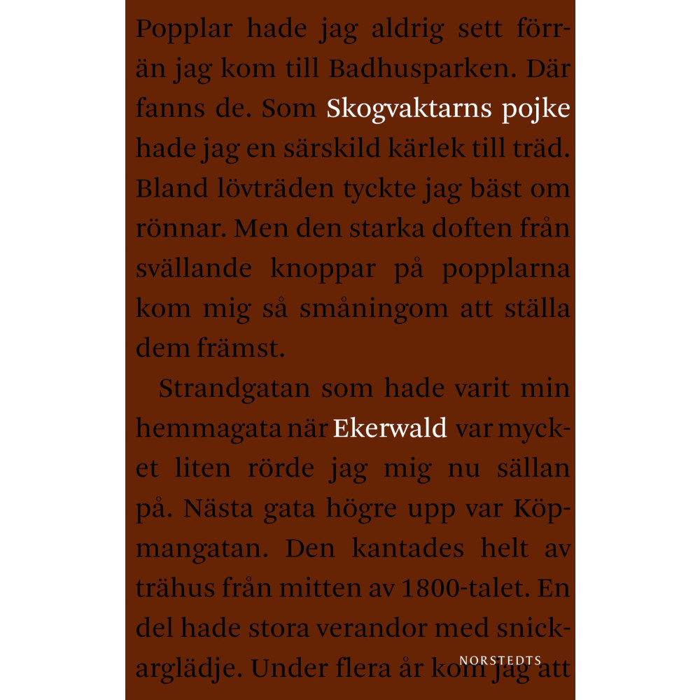 Produktbild för Skogvaktarns pojke : minnen (häftad)