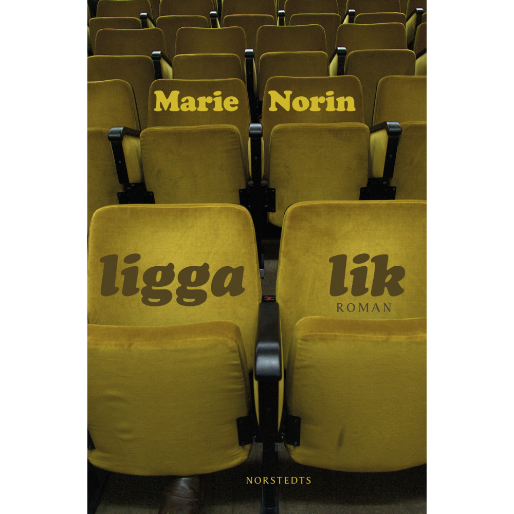 Produktbild för Ligga lik (häftad)