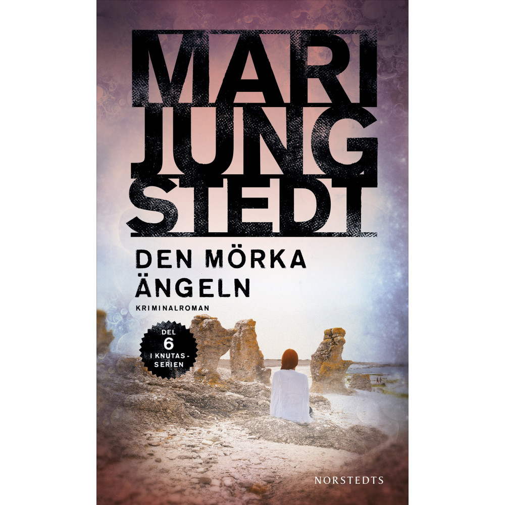 Produktbild för Den mörka ängeln (häftad)