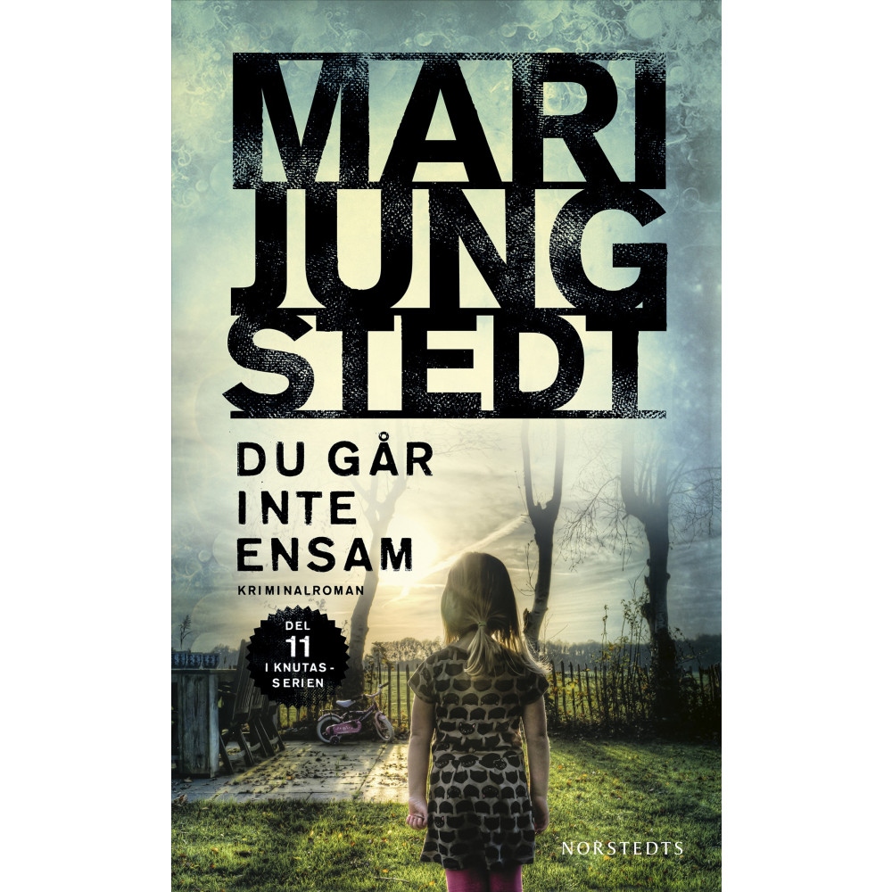Produktbild för Du går inte ensam (häftad)