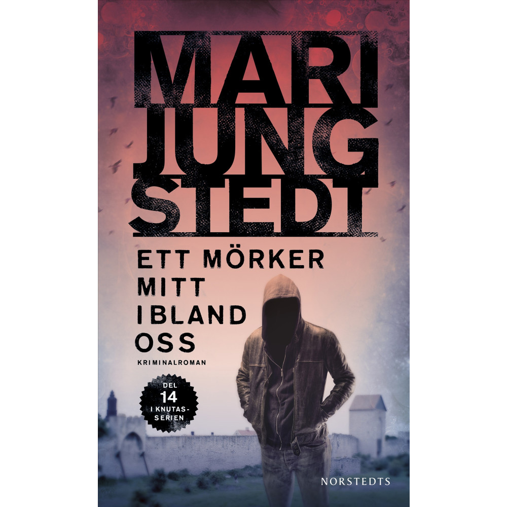 Produktbild för Ett mörker mitt ibland oss (häftad)