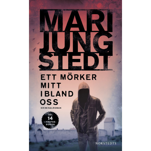 Mari Jungstedt Ett mörker mitt ibland oss (häftad)