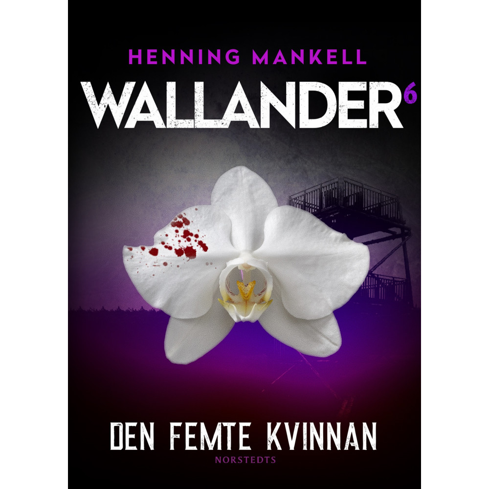 Produktbild för Den femte kvinnan (häftad)