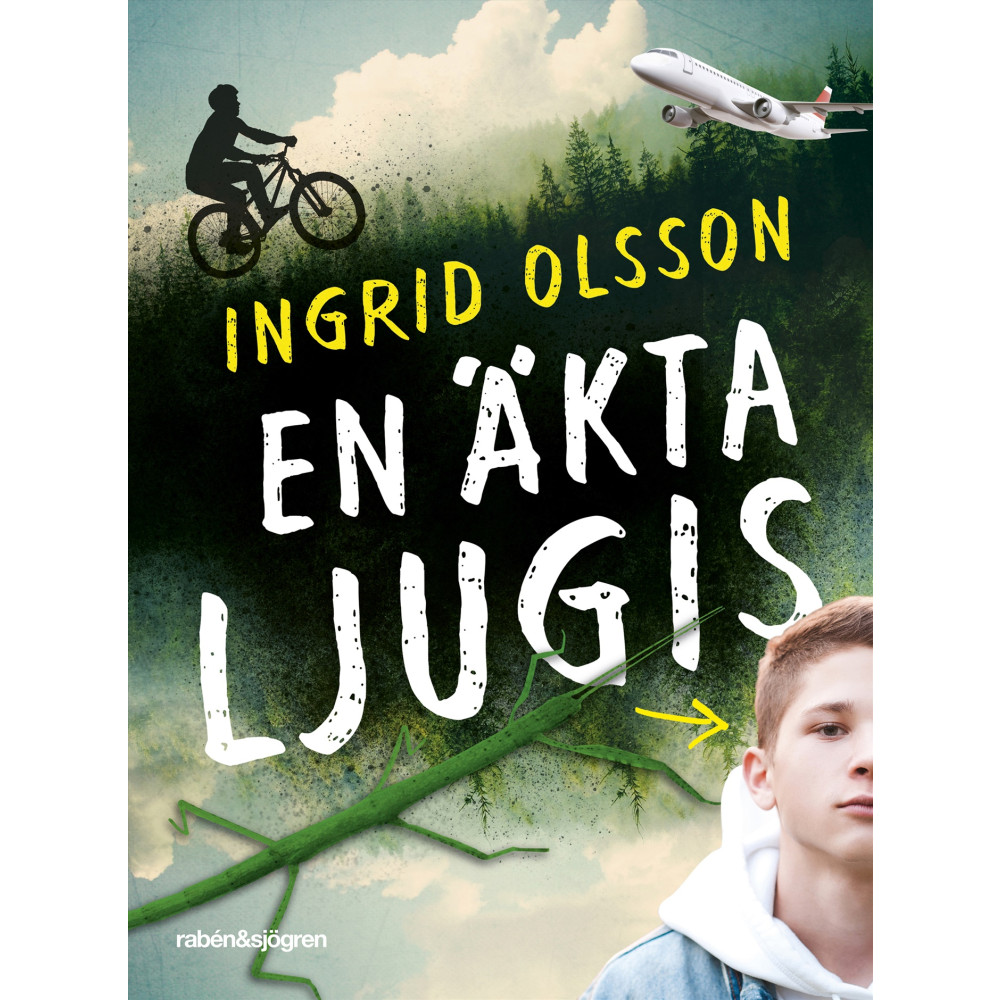 Produktbild för En äkta ljugis (häftad)