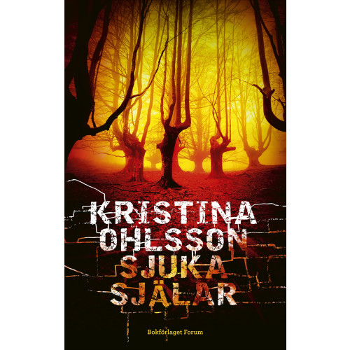 Kristina Ohlsson Sjuka själar (häftad)