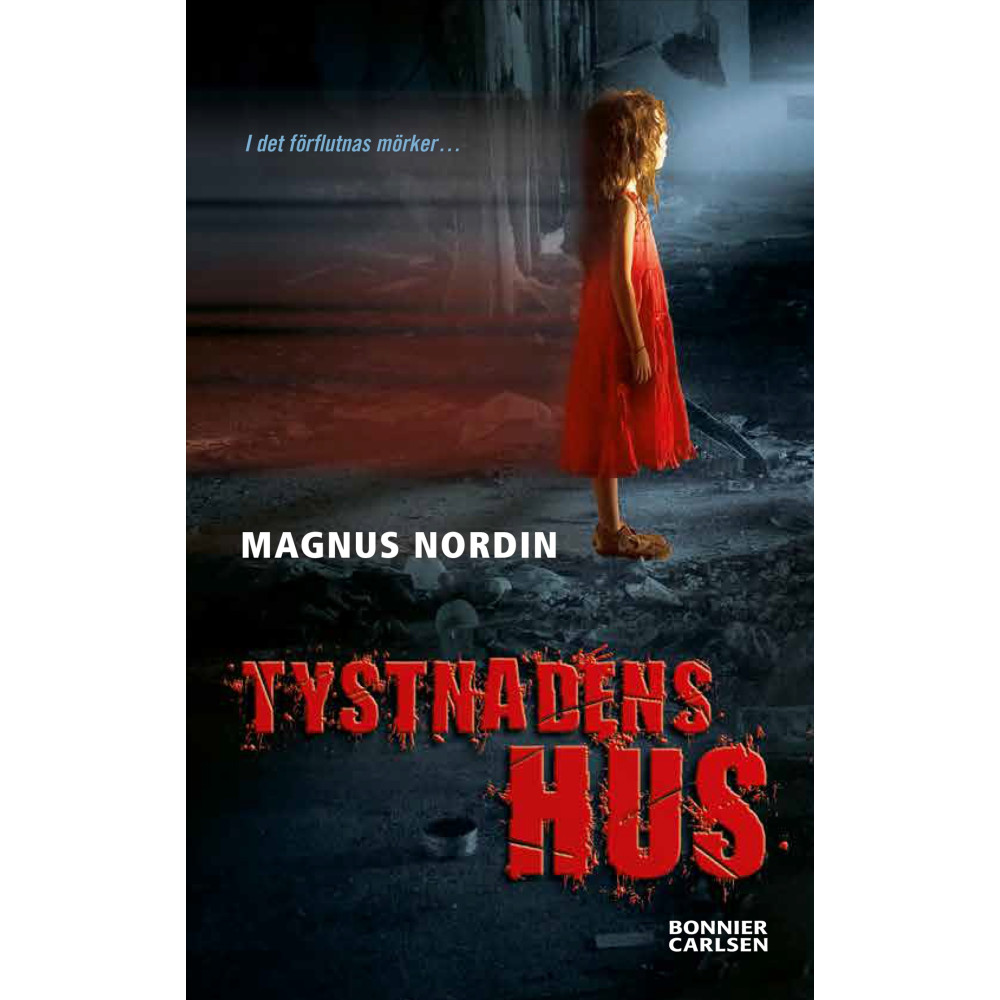 Produktbild för Tystnadens hus (häftad)