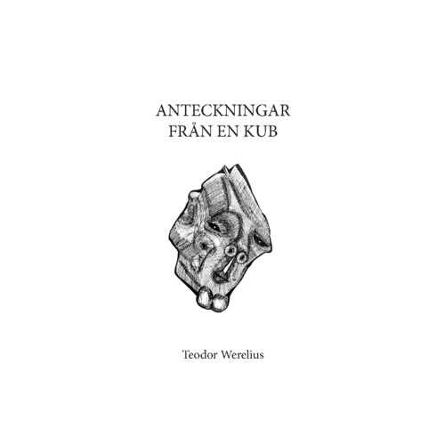 Teodor Werelius Anteckningar från en kub (häftad)