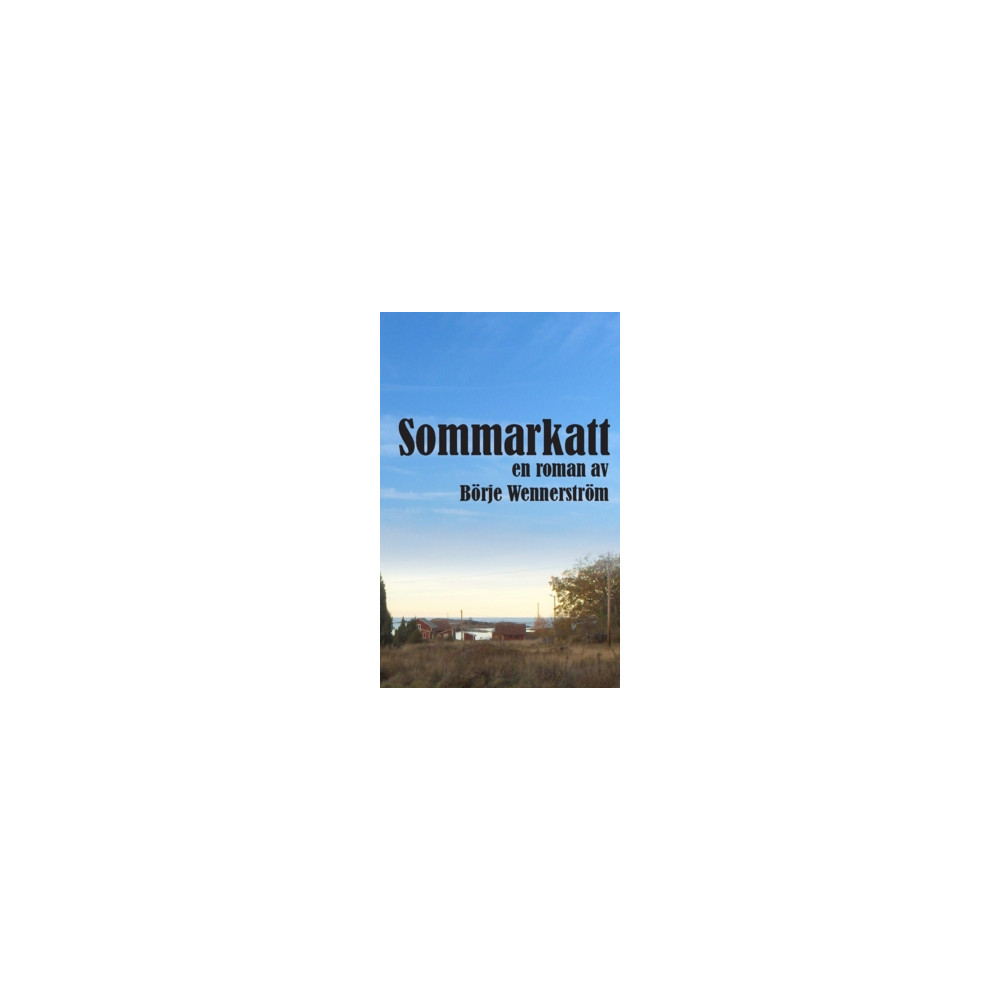 Produktbild för Sommarkatt (häftad)