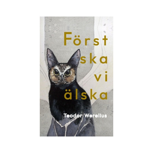 Teodor Werelius Först ska vi älska (häftad)