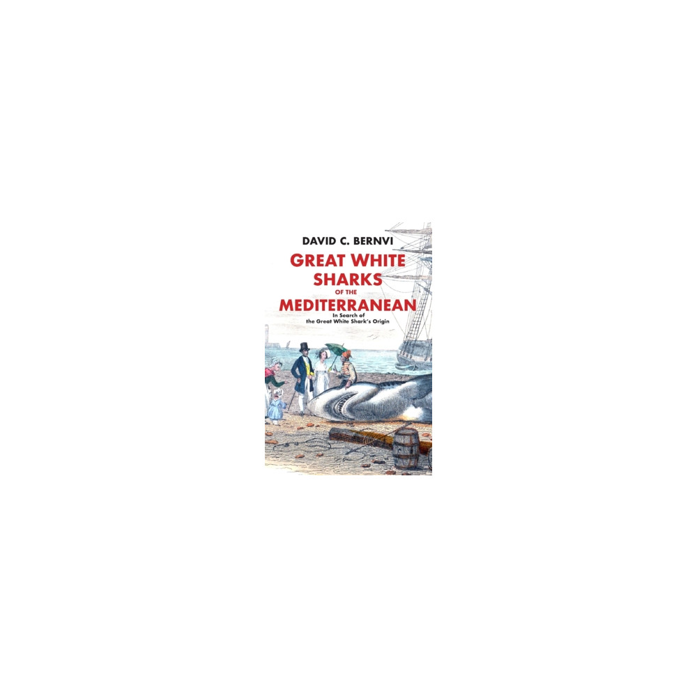 Produktbild för Great white sharks of the Mediterranean : in search of the great white shark's origin (inbunden, eng)