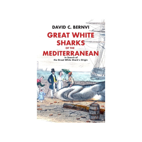 David C. Bernvi Great white sharks of the Mediterranean : in search of the great white shark's origin (inbunden, eng)