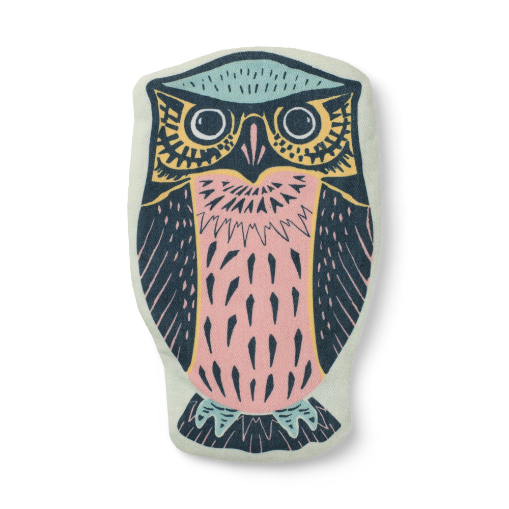 Produktbild för Eclectionery Pencil Case - Owl (bok, eng)