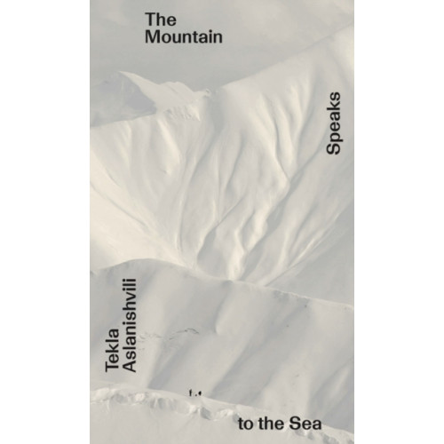 Stichting Onomatopee The Mountain Speaks to the Sea (häftad, eng)