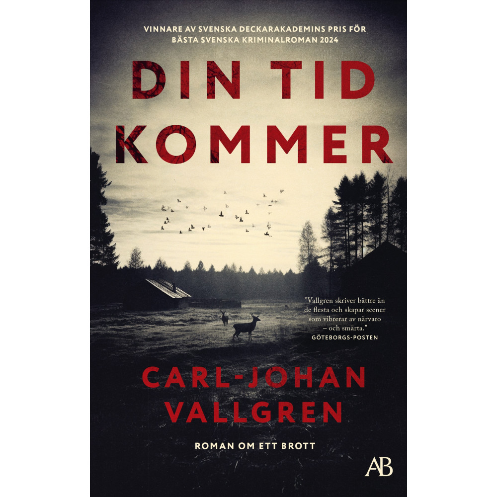 Produktbild för Din tid kommer (pocket)